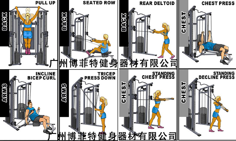 小飛鳥(niǎo)訓(xùn)練器使用圖解